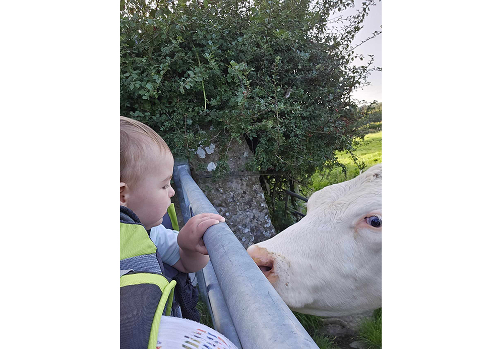 Our young camper meeting the moo