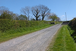 pic25